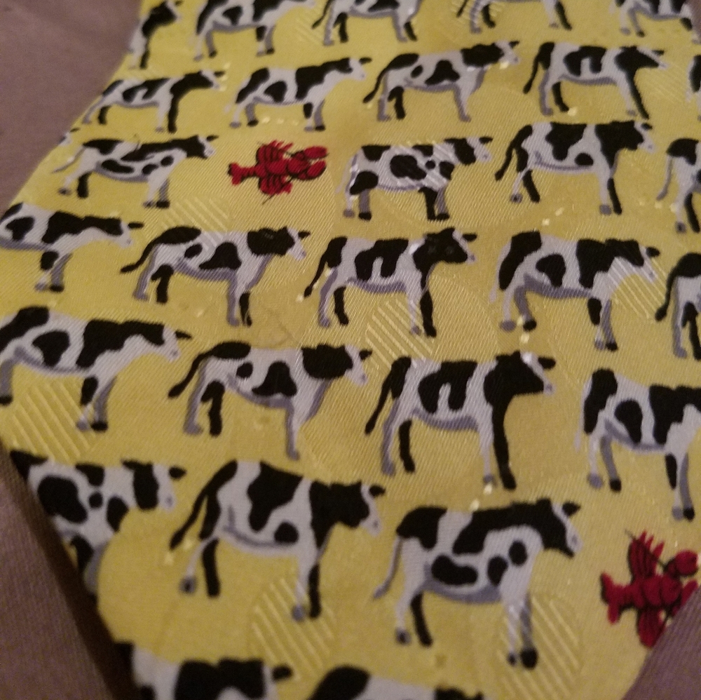 Joe Boxer Surf and Turf Necktie